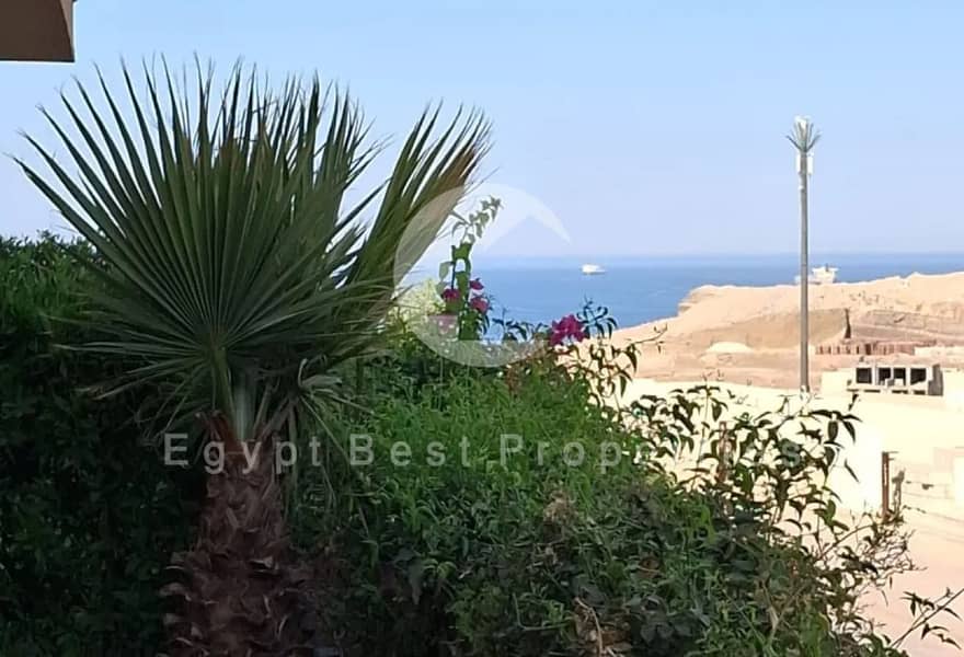 3 image - 2026-07-29T161941.241. png