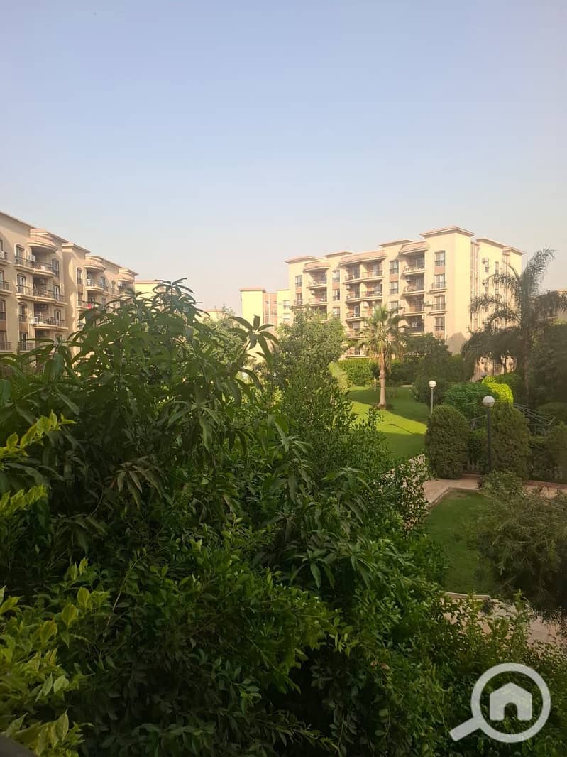 6 1000702727. jpg