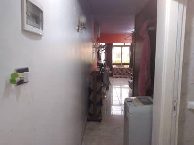 1 Bedroom Chalet for Rent in Ismailia City, Ismailia - شاليه للايجار اليومي بقريه الجندول بالاسماعيليه 1 Bedroom Chalet for Rent in Ismailia City, Ismailia - شاليه للايجار اليومي بقريه الجندول بالاسماعيليه
