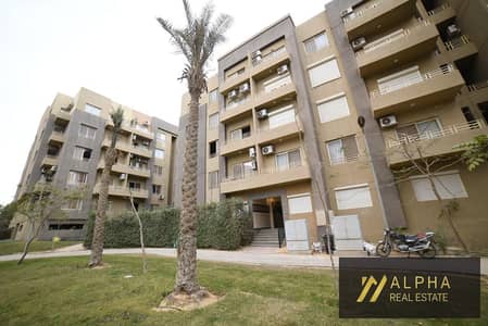 3 Bedroom Flat for Rent in New Cairo, Cairo - 1000436042. jpg