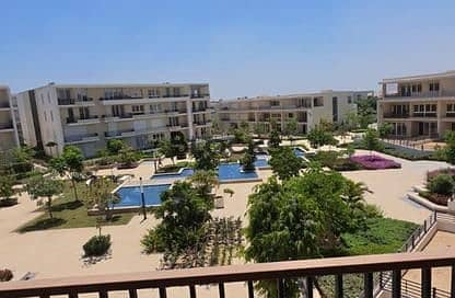 7 IMG_1077. jpg