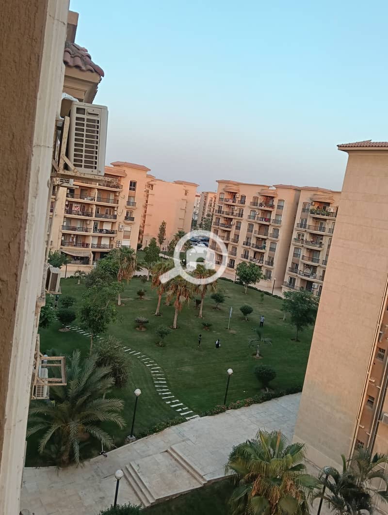 9 561863. jpg