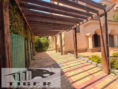 4 Bedroom Villa for Rent in Madinaty, Cairo - 1000079853. jpg