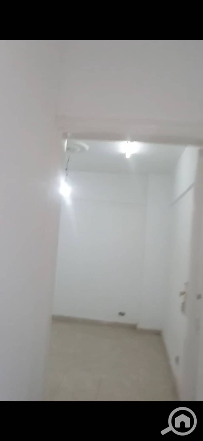 3 137130. jpg