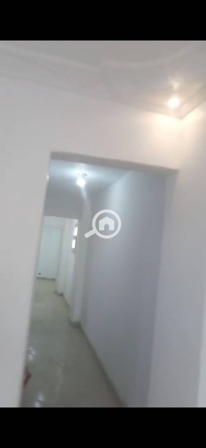 4 137122. jpg