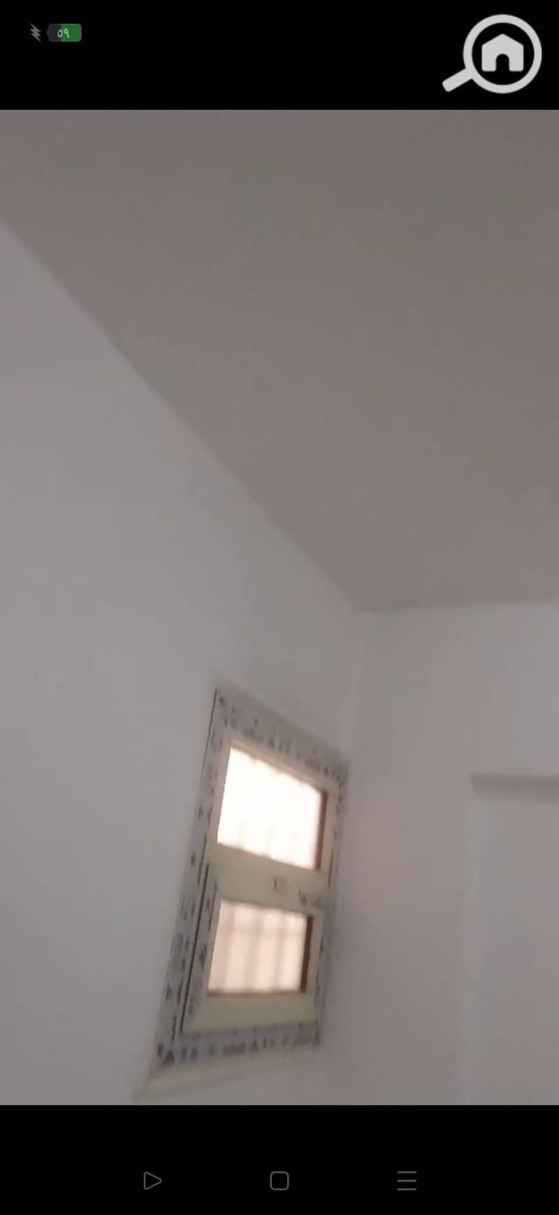 5 137129. jpg