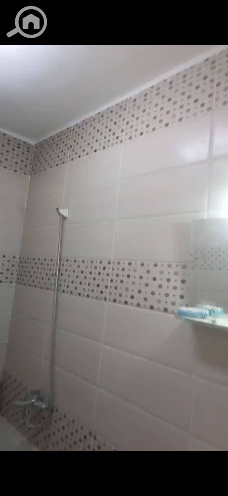6 137124. jpg