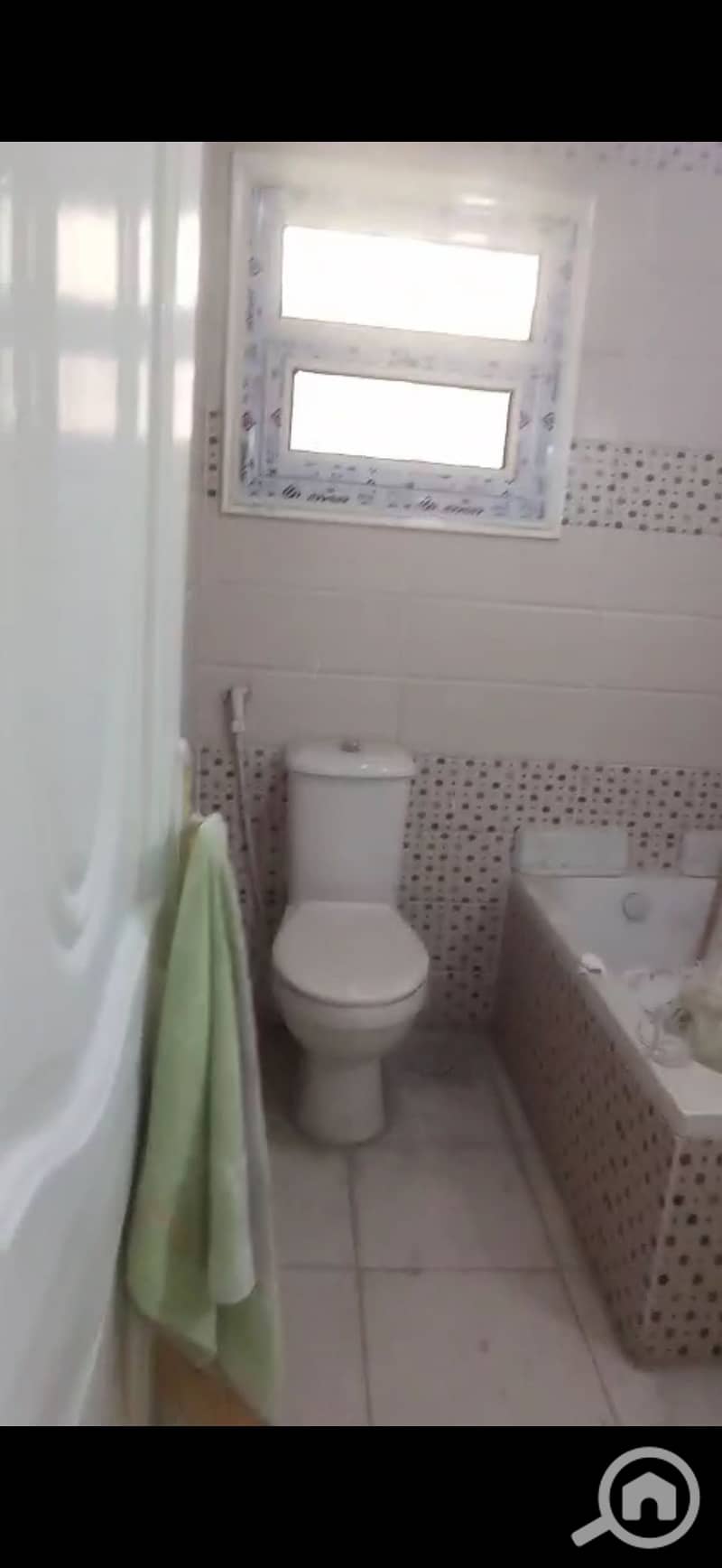 8 137126. jpg