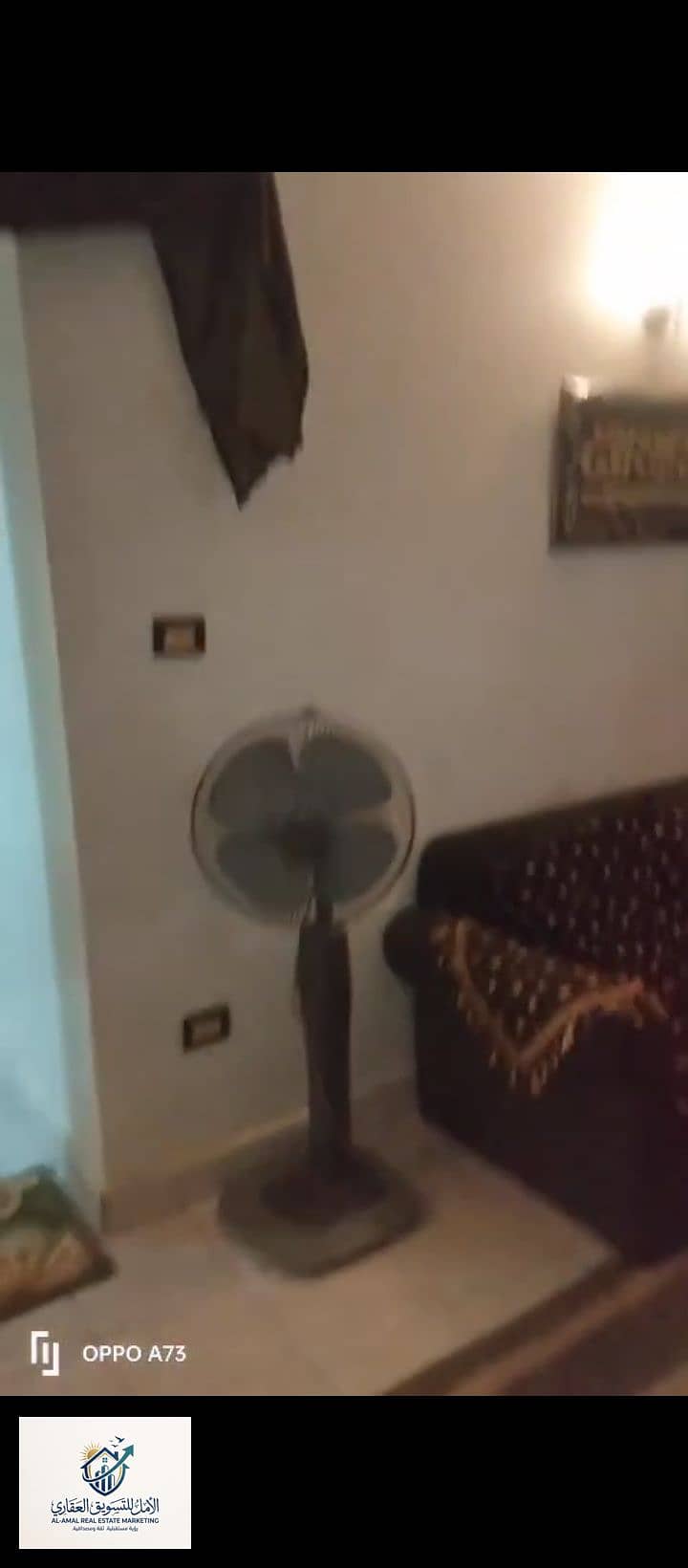 3 1000243789. jpg