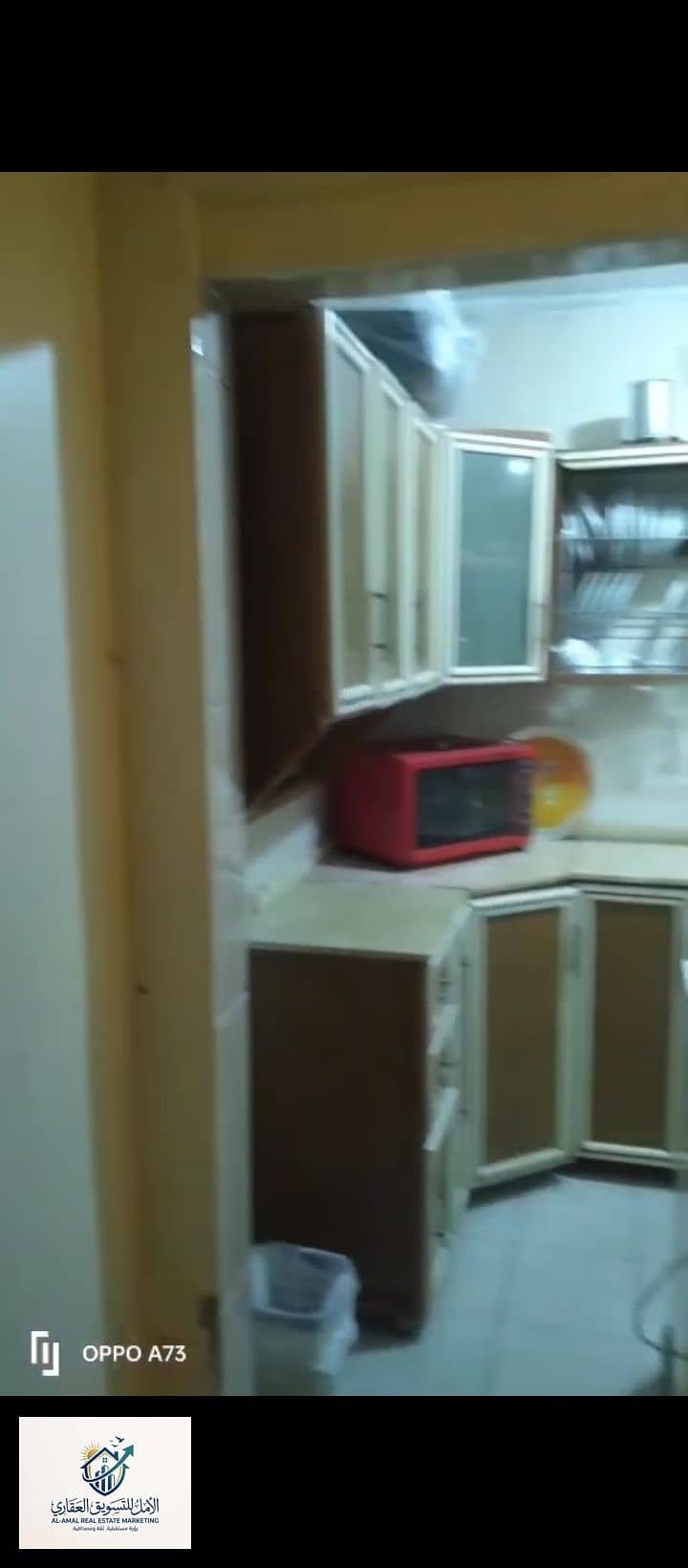 12 1000243733. jpg