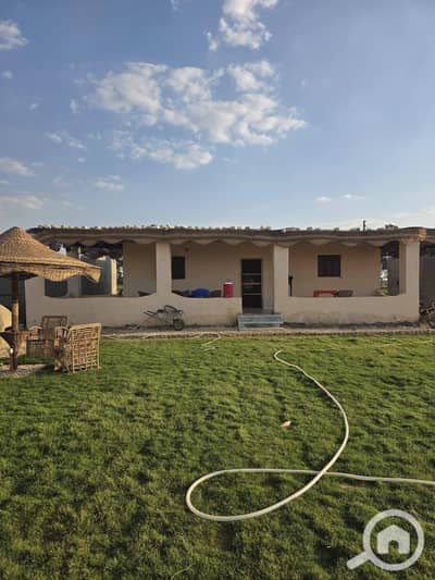 Agricultural Land for Sale in 6th of October, Giza - IMG_1545. jpg