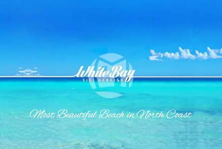2 White Bay