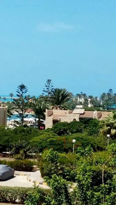 3 Mena 3