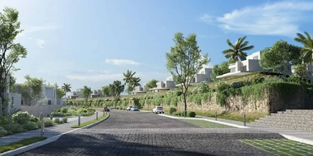 4 LVLS Mountain View