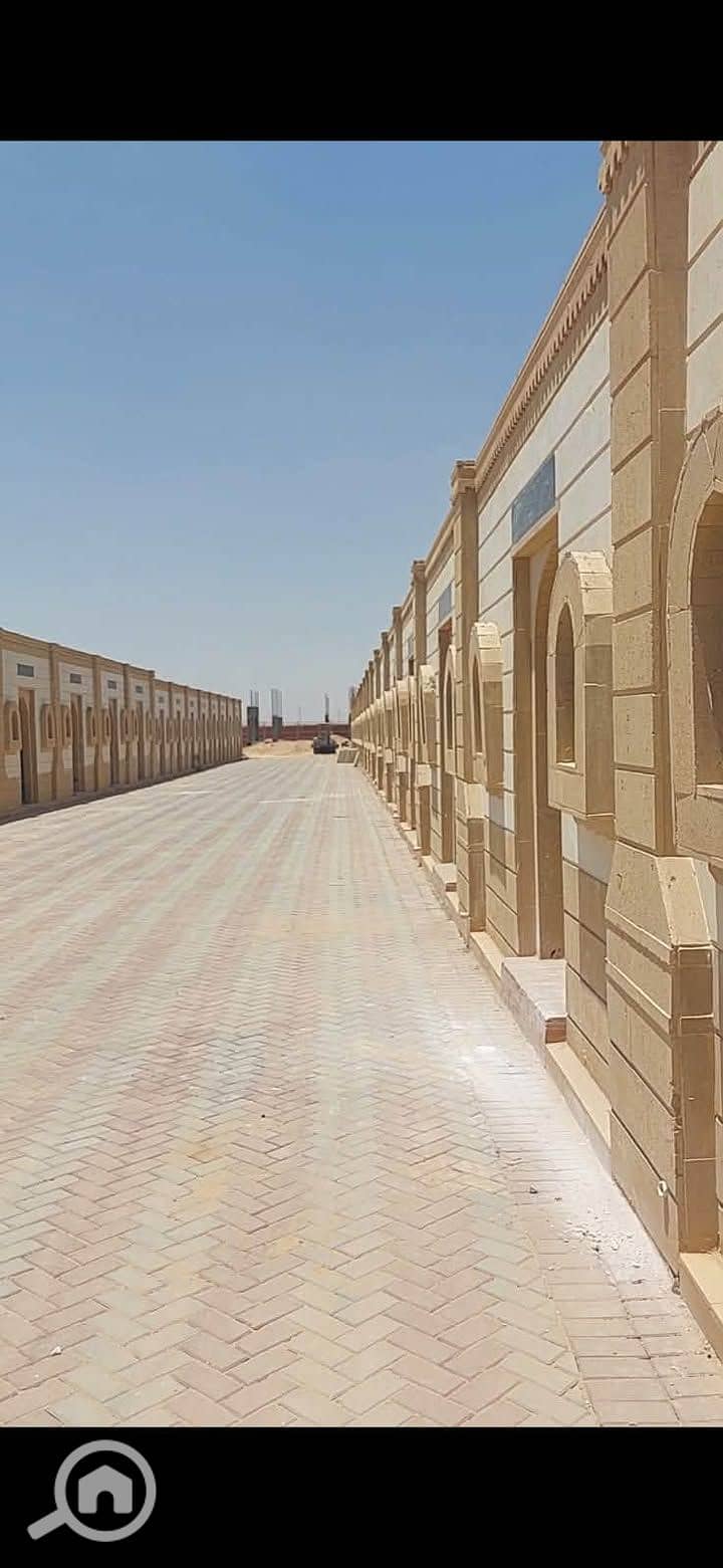 11 1000006859. jpg