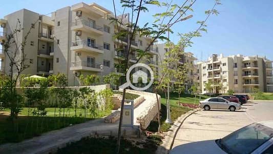 شقة 3 غرف نوم للايجار في الشيخ زايد، الجيزة - WhatsApp Image 2025-10-07 at 4.45. 50 PM (1). jpeg
