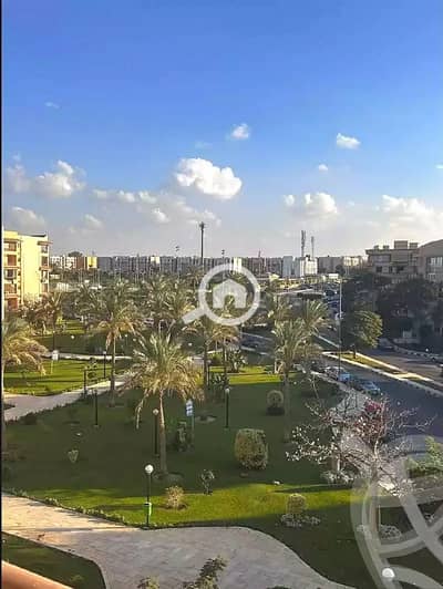 3 Bedroom Flat for Rent in New Cairo, Cairo - 1000269987. jpg 3 Bedroom Flat for Rent in New Cairo, Cairo - 1000269987. jpg