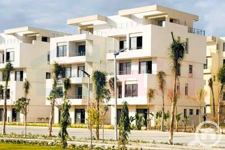 3 Bedroom Apartment for Sale in Palm Hills, Alexandria - WhatsApp Image 2024-12-06 at 3.47. 21 AM. jpg