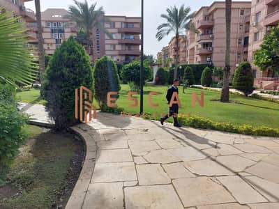 شقة 3 غرف نوم للبيع في القاهرة الجديدة، القاهرة - U276514(8). jpg