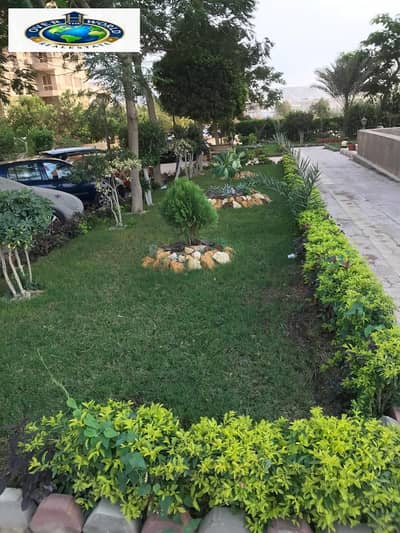 فلیٹ 2 غرفة نوم للايجار في زهراء المعادى، القاهرة - 1000188980. jpg