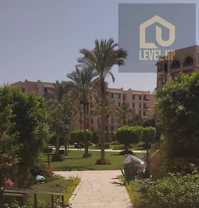 2 Bedroom Apartment for Rent in New Cairo, Cairo - WhatsApp Image 2026-07-30 at 4.15. 01 PM. jpeg 2 Bedroom Apartment for Rent in New Cairo, Cairo - WhatsApp Image 2026-07-30 at 4.15. 01 PM. jpeg