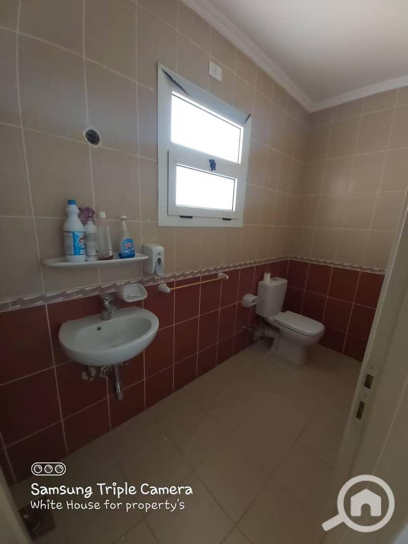 3 179389. jpg