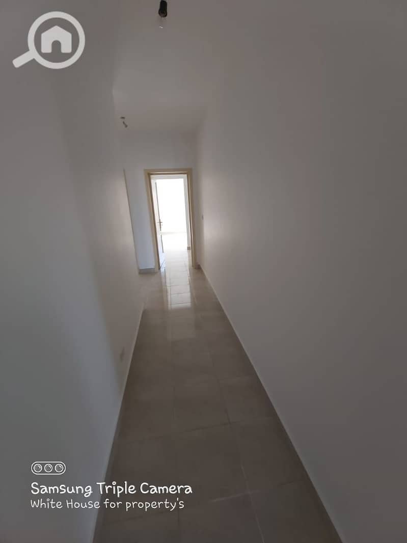 6 179385. jpg
