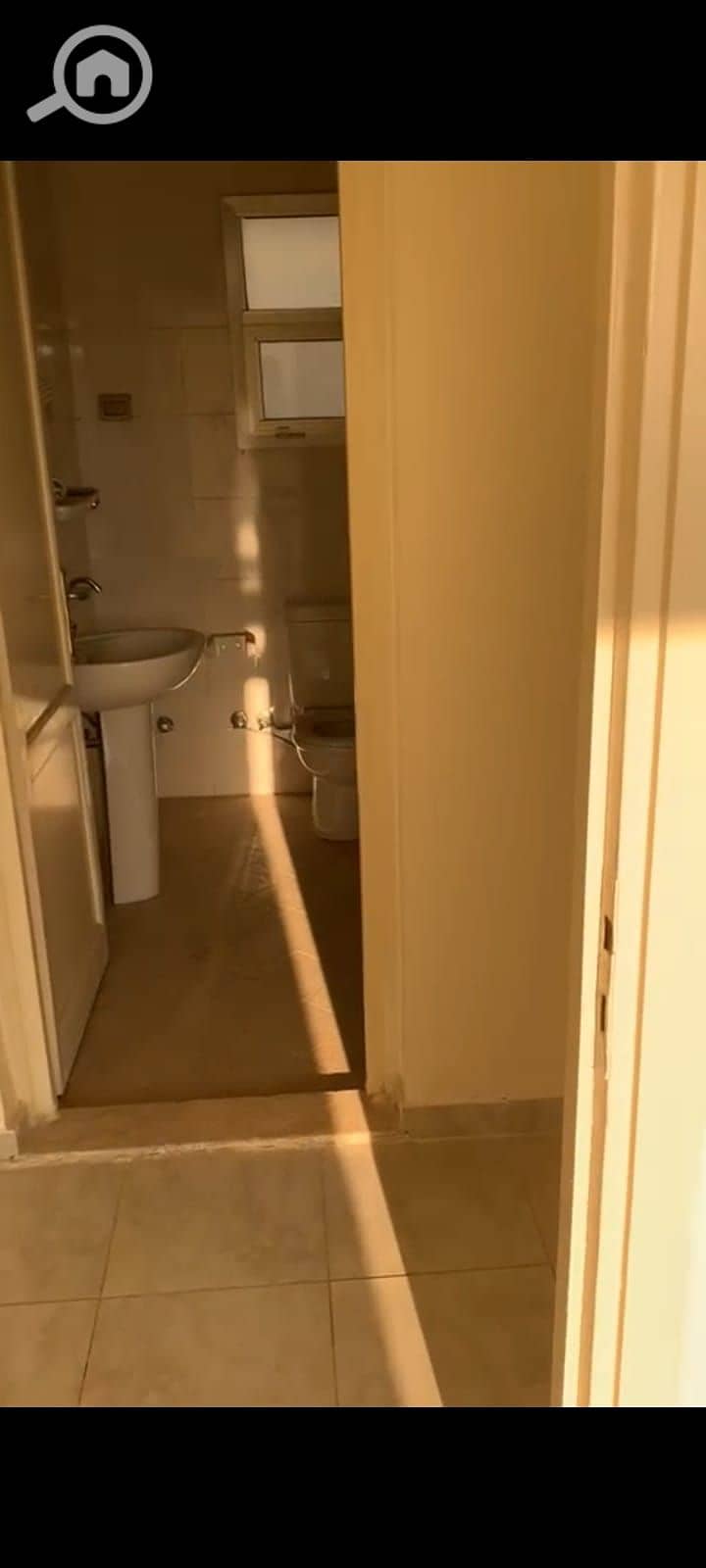 5 179405. jpg