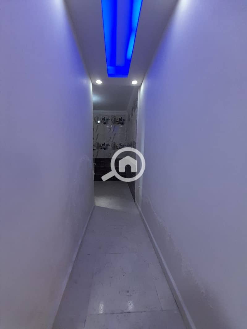 2 55481. jpg