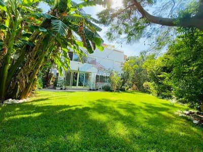 Office for Rent in Maadi, Cairo - 1. jpg