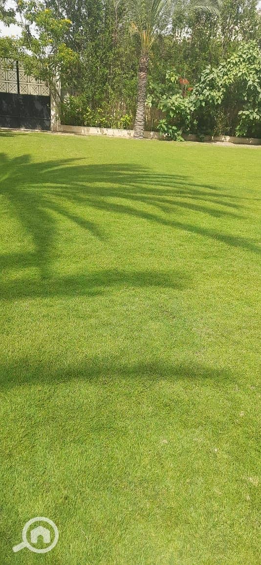 14 IMG-20250717-WA0144. jpg
