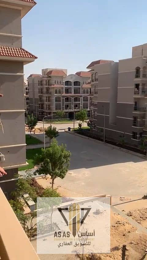 6 18915. jpg