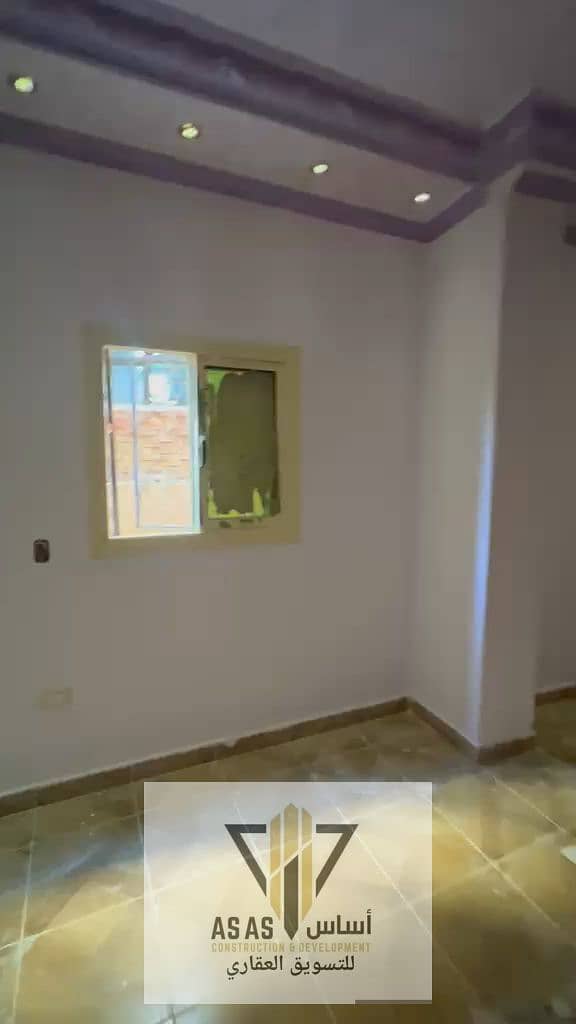 11 38485. jpg