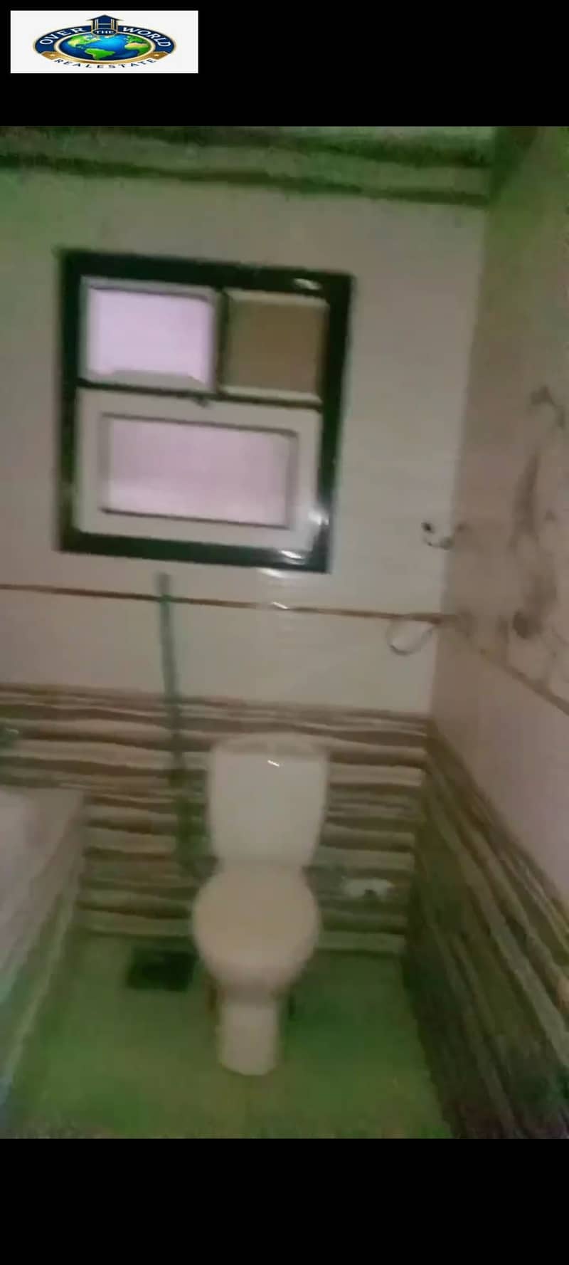 7 1000272080. jpg
