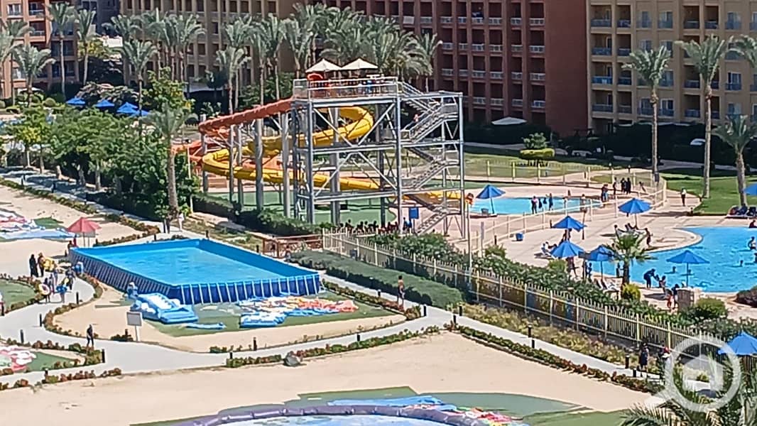 9 1001162701. jpg