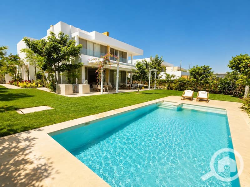 4 1000209268. jpg