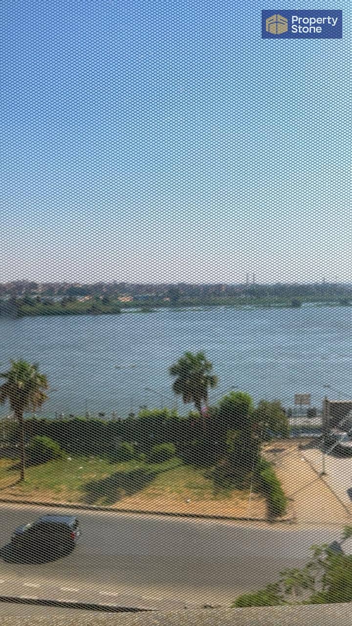 5 259359. jpg