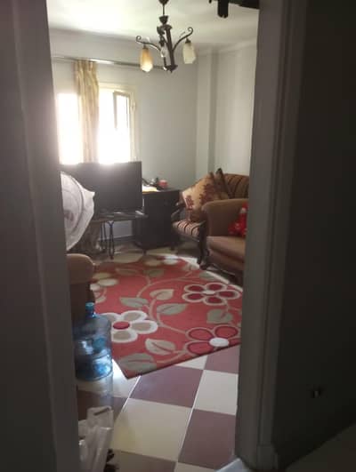 3 Bedroom Apartment for Sale in Haram, Giza - شقة للبيع بشارع الهرم 3 Bedroom Apartment for Sale in Haram, Giza - شقة للبيع بشارع الهرم
