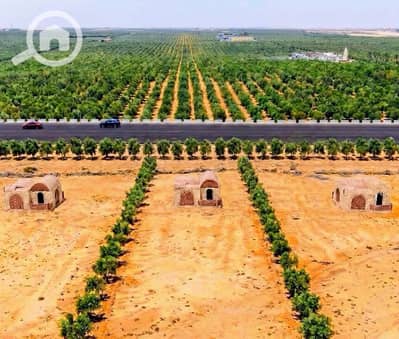 Agricultural Land for Sale in New Fayoum, Fayoum - 1000078594. jpg Agricultural Land for Sale in New Fayoum, Fayoum - 1000078594. jpg