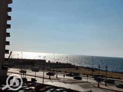 فلیٹ 2 غرفة نوم للايجار في المنتزه، الإسكندرية - 286. jpg