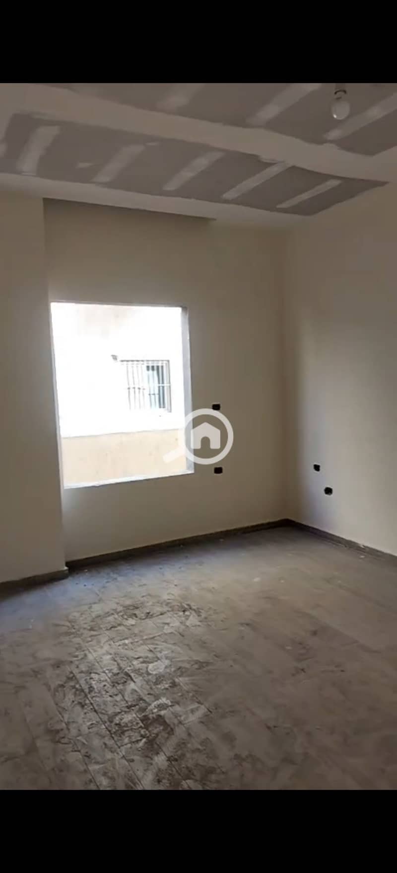 3 294391. jpg