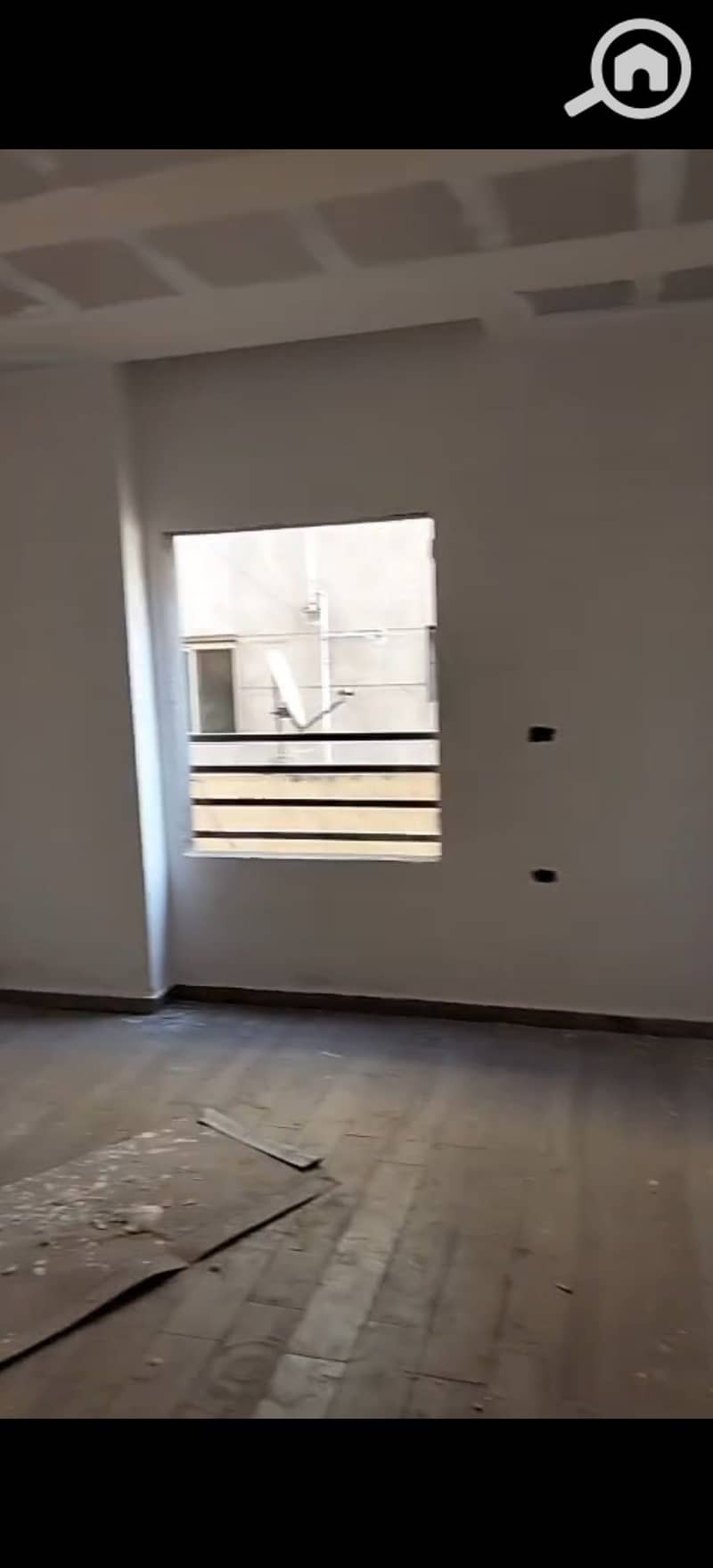 4 294390. jpg