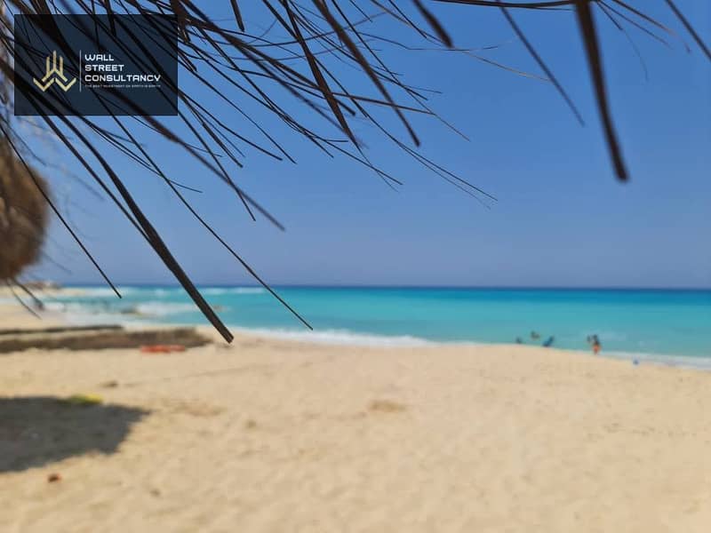 13 530453252_695748780169401_792186344376211976_n. jpg