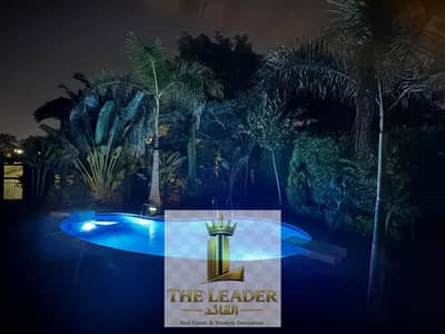 5 Bedroom Villa for Rent in Madinaty, Cairo - 5e442887-817e-4fa3-8f71-8592c423101e. jpeg