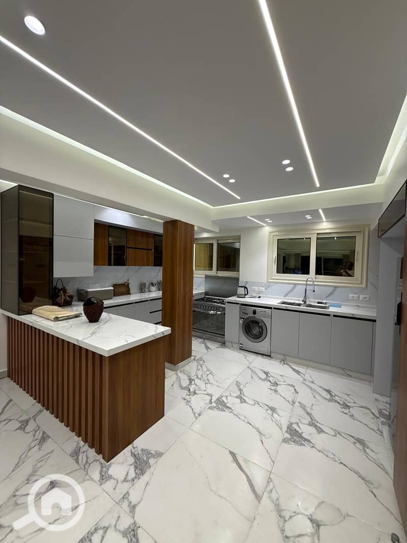11 4707. jpg
