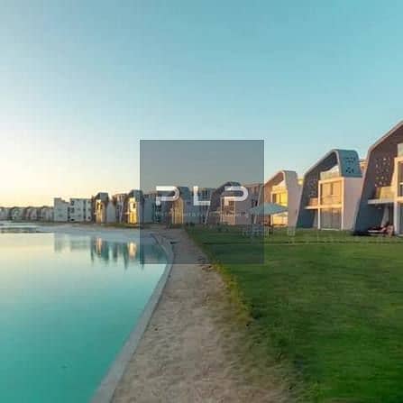 6 images (1). jpg