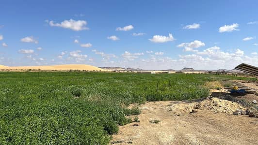 أرض زراعية للبيع في الواحات البحرية، الجيزة - فرصة استثمارية متميزة لمشروع زراعي في منطقة الحيز بالواحات البحرية أرض زراعية للبيع في الواحات البحرية، الجيزة - فرصة استثمارية متميزة لمشروع زراعي في منطقة الحيز بالواحات البحرية
