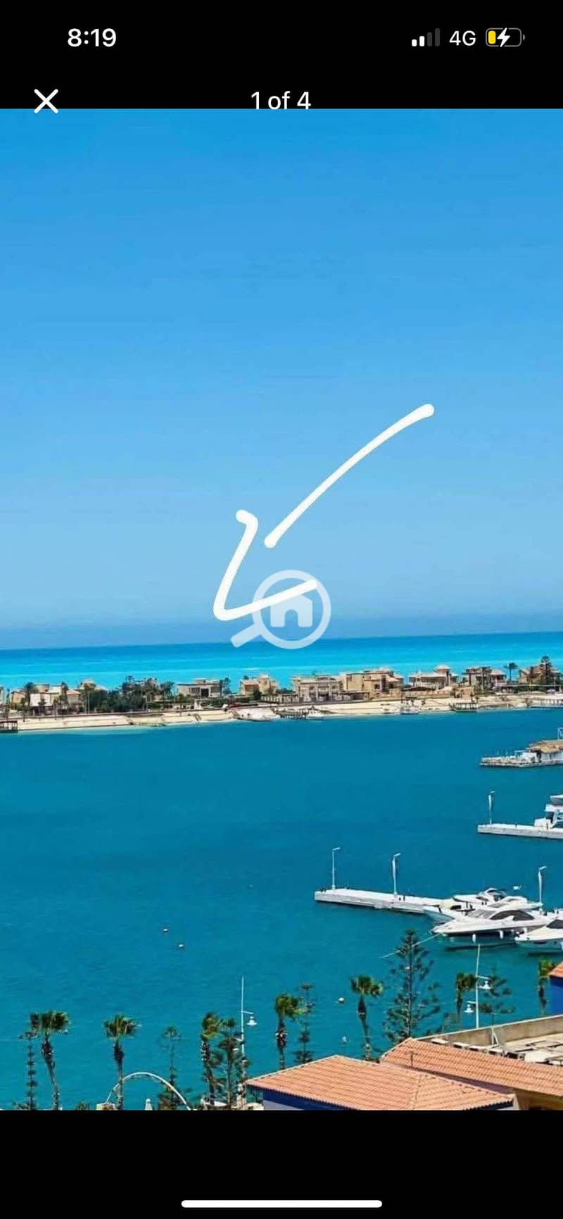 4 IMG_3778. png
