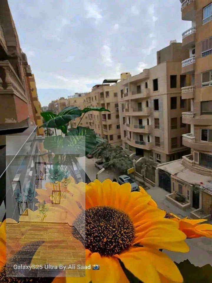 8 1001844156. jpg