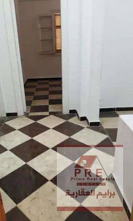 Office for Rent in Sidi Gaber, Alexandria - 1. png Office for Rent in Sidi Gaber, Alexandria - 1. png